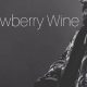 The Teddy Swims Strawberry Wine Saga: A Deep Dive | Teddy Information – Everything You Need to Know About Teddy Bears
