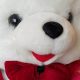 Vintage 1998 Snowflake Teddy Bear Plush | Teddy Information – Everything You Need to Know About Teddy Bears