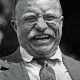 The Iconic Teddy Roosevelt Smile: A Legacy | Teddy Information – Everything You Need to Know About Teddy Bears