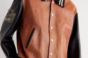 Stylish Leather Teddy Jackets: Ultimate Guide Teddy Information – Everything You Need to Know About Teddy Bears Stylish Leather Teddy Jackets: Ultimate Guide | Teddy Information – Everything You Need to Know About Teddy Bears