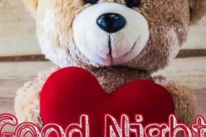 Cuddly Good Night Teddy Bears: Sweet Dreams Teddy Information – Everything You Need to Know About Teddy Bears Cuddly Good Night Teddy Bears: Sweet Dreams | Teddy Information – Everything You Need to Know About Teddy Bears