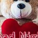 Cuddly Good Night Teddy Bears: Sweet Dreams | Teddy Information – Everything You Need to Know About Teddy Bears