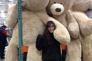Giant 12 Foot Teddy Bears: Big Plush Fun Teddy Information – Everything You Need to Know About Teddy Bears Giant 12 Foot Teddy Bears: Big Plush Fun | Teddy Information – Everything You Need to Know About Teddy Bears