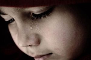 The Inspiring Story of Teddy Stoddard & Mrs. Thompson Teddy Information – Everything You Need to Know About Teddy Bears The Inspiring Story of Teddy Stoddard & Mrs. Thompson | Teddy Information – Everything You Need to Know About Teddy Bears