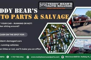 Custom Teddy Bear Auto Parts & Accessories Teddy Information – Everything You Need to Know About Teddy Bears Custom Teddy Bear Auto Parts & Accessories | Teddy Information – Everything You Need to Know About Teddy Bears