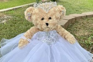 Teddy Bear For Quinceanera Teddy Information – Everything You Need to Know About Teddy Bears Teddy Bear For Quinceanera | Teddy Information – Everything You Need to Know About Teddy Bears
