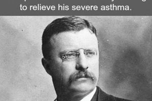 Unbelievable Teddy Roosevelt Fun Facts You Won't Believe! Teddy Information – Everything You Need to Know About Teddy Bears Unbelievable Teddy Roosevelt Fun Facts You Won't Believe! | Teddy Information – Everything You Need to Know About Teddy Bears
