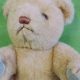 Vintage Gund Teddy Bears (1985): A Collector's Guide | Teddy Information – Everything You Need to Know About Teddy Bears