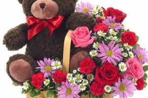 Send Teddy Bears Same-Day Delivery Fast! Teddy Information – Everything You Need to Know About Teddy Bears Send Teddy Bears Same-Day Delivery Fast! | Teddy Information – Everything You Need to Know About Teddy Bears