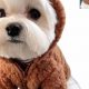 Adorable Dog Teddy Bear Costumes & Outfits | Teddy Information – Everything You Need to Know About Teddy Bears