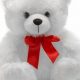 Cuddly White Teddy Bears: A Buyer's Guide | Teddy Information – Everything You Need to Know About Teddy Bears
