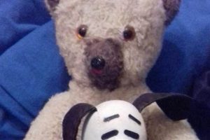 Cute Snoopy Teddy Bears & Plush Toys Teddy Information – Everything You Need to Know About Teddy Bears Cute Snoopy Teddy Bears & Plush Toys | Teddy Information – Everything You Need to Know About Teddy Bears