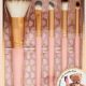 Cute Too Faced Teddy Bear Brush Set Review | Teddy Information – Everything You Need to Know About Teddy Bears