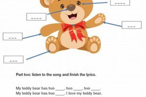 Body Teddy Bear Teddy Information – Everything You Need to Know About Teddy Bears Body Teddy Bear | Teddy Information – Everything You Need to Know About Teddy Bears