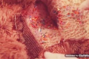 My Teddy's Operation & Recovery Story Teddy Information – Everything You Need to Know About Teddy Bears My Teddy's Operation & Recovery Story | Teddy Information – Everything You Need to Know About Teddy Bears