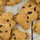 Delicious Chocolate Chip Teddy Grahams Treats | Teddy Information – Everything You Need to Know About Teddy Bears