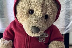 Cute Aeropostale Teddy Bear Plush Toys Teddy Information – Everything You Need to Know About Teddy Bears Cute Aeropostale Teddy Bear Plush Toys | Teddy Information – Everything You Need to Know About Teddy Bears