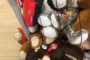 Cuddly Rite Aid Teddy Bears: Find Your Perfect Plush Pal Teddy Information – Everything You Need to Know About Teddy Bears Cuddly Rite Aid Teddy Bears: Find Your Perfect Plush Pal | Teddy Information – Everything You Need to Know About Teddy Bears