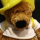 Adorable SpongeBob SquarePants Teddy Bears for Sale | Teddy Information – Everything You Need to Know About Teddy Bears