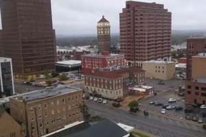 Cuddly Teddy Bears in Bartlesville, OK | Shop Now! | Teddy Information – Everything You Need to Know About Teddy Bears