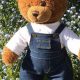 The Ultimate Guide to Teddy Clothing | Teddy Information – Everything You Need to Know About Teddy Bears