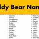 Cute & Cuddly: Good Names for Your Teddy Bear | Teddy Information – Everything You Need to Know About Teddy Bears