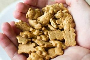 Can Dogs Eat Teddy Grahams? Risks & Safe Treats Teddy Information – Everything You Need to Know About Teddy Bears Can Dogs Eat Teddy Grahams? Risks & Safe Treats | Teddy Information – Everything You Need to Know About Teddy Bears