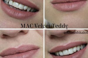 The Perfect Matte: Velvet Teddy Lipstick Review Teddy Information – Everything You Need to Know About Teddy Bears The Perfect Matte: Velvet Teddy Lipstick Review | Teddy Information – Everything You Need to Know About Teddy Bears