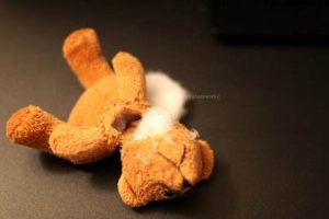 Mending a Rip in a Teddy Bear: A Guide Teddy Information – Everything You Need to Know About Teddy Bears Mending a Rip in a Teddy Bear: A Guide | Teddy Information – Everything You Need to Know About Teddy Bears