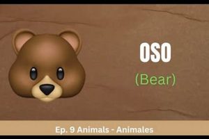 Teddy Bear in Spanish: Translation & Meaning Teddy Information – Everything You Need to Know About Teddy Bears Teddy Bear in Spanish: Translation & Meaning | Teddy Information – Everything You Need to Know About Teddy Bears