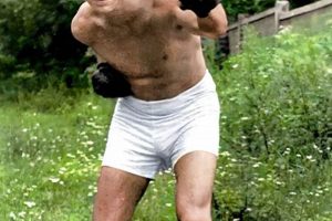 The Boxer of Auschwitz: Tadeusz Teddy Pietrzykowski's Story Teddy Information – Everything You Need to Know About Teddy Bears The Boxer of Auschwitz: Tadeusz Teddy Pietrzykowski's Story | Teddy Information – Everything You Need to Know About Teddy Bears
