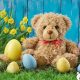 Cuddly Easter Teddy Bears & Plush Bunnies | Teddy Information – Everything You Need to Know About Teddy Bears