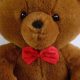 Cuddly Brown Teddy Bear with Red Bow Tie Gifts | Teddy Information – Everything You Need to Know About Teddy Bears
