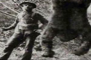 The Legend of Teddy Roosevelt & Bigfoot Encounters Teddy Information – Everything You Need to Know About Teddy Bears The Legend of Teddy Roosevelt & Bigfoot Encounters | Teddy Information – Everything You Need to Know About Teddy Bears