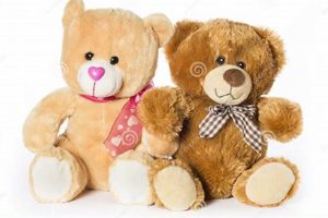 My Fluffy Teddy Bear 2 Adventures Teddy Information – Everything You Need to Know About Teddy Bears My Fluffy Teddy Bear 2 Adventures | Teddy Information – Everything You Need to Know About Teddy Bears