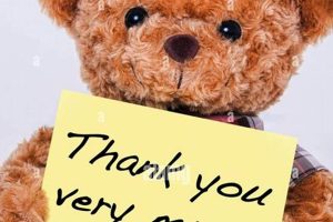 Cuddly Thank You Teddy Bears: Gifts of Gratitude Teddy Information – Everything You Need to Know About Teddy Bears Cuddly Thank You Teddy Bears: Gifts of Gratitude | Teddy Information – Everything You Need to Know About Teddy Bears