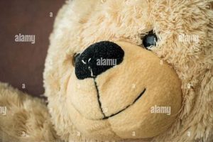 Crafting Teddy Bear Eyes & Noses: A Guide Teddy Information – Everything You Need to Know About Teddy Bears Crafting Teddy Bear Eyes & Noses: A Guide | Teddy Information – Everything You Need to Know About Teddy Bears