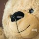 Crafting Teddy Bear Eyes & Noses: A Guide | Teddy Information – Everything You Need to Know About Teddy Bears