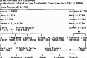 Exploring the Teddy Roosevelt Family Tree & History Teddy Information – Everything You Need to Know About Teddy Bears Exploring the Teddy Roosevelt Family Tree & History | Teddy Information – Everything You Need to Know About Teddy Bears