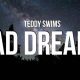Decoding "Teddy Swims" in Bad Dreams: Meaning & Comfort | Teddy Information – Everything You Need to Know About Teddy Bears