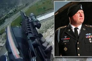 Teddy Daniels: Military Past & Shutter Island Teddy Information – Everything You Need to Know About Teddy Bears Teddy Daniels: Military Past & Shutter Island | Teddy Information – Everything You Need to Know About Teddy Bears