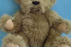 Funny Cursing Teddy Bear Plush Toys Teddy Information – Everything You Need to Know About Teddy Bears Funny Cursing Teddy Bear Plush Toys | Teddy Information – Everything You Need to Know About Teddy Bears