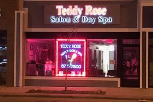 Teddy Rose Salon: Best Salon in Skokie Teddy Information – Everything You Need to Know About Teddy Bears Teddy Rose Salon: Best Salon in Skokie | Teddy Information – Everything You Need to Know About Teddy Bears