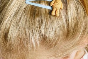 Cute Teddy Bear Hair Clips for Kids & Toddlers Teddy Information – Everything You Need to Know About Teddy Bears Cute Teddy Bear Hair Clips for Kids & Toddlers | Teddy Information – Everything You Need to Know About Teddy Bears