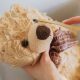 Cleaning Teddy Bears: A Complete Guide | Teddy Information – Everything You Need to Know About Teddy Bears