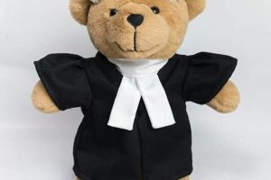 Find a Top Teddy Black Lawyer Now: Expert Legal Help Teddy Information – Everything You Need to Know About Teddy Bears Find a Top Teddy Black Lawyer Now: Expert Legal Help | Teddy Information – Everything You Need to Know About Teddy Bears