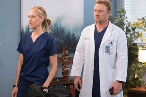 Grey's Anatomy: Owen & Teddy's Love Story Teddy Information – Everything You Need to Know About Teddy Bears Grey's Anatomy: Owen & Teddy's Love Story | Teddy Information – Everything You Need to Know About Teddy Bears