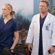 Grey's Anatomy: Owen & Teddy's Love Story | Teddy Information – Everything You Need to Know About Teddy Bears
