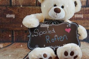 Cute Teddy Bears with Personalized Signs | Gifts Teddy Information – Everything You Need to Know About Teddy Bears Cute Teddy Bears with Personalized Signs | Gifts | Teddy Information – Everything You Need to Know About Teddy Bears
