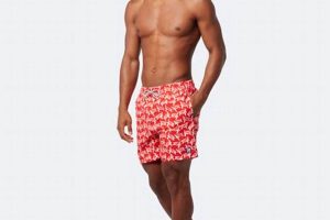 Shop Tom & Teddy: Matching Swimwear for Dads & Kids Teddy Information – Everything You Need to Know About Teddy Bears Shop Tom & Teddy: Matching Swimwear for Dads & Kids | Teddy Information – Everything You Need to Know About Teddy Bears